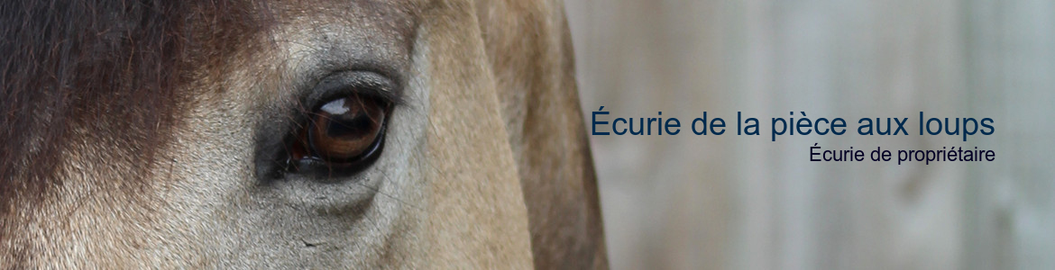 Écurie de la pièce aux loups